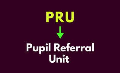 PRU Meaning, Pupil Referral Unit