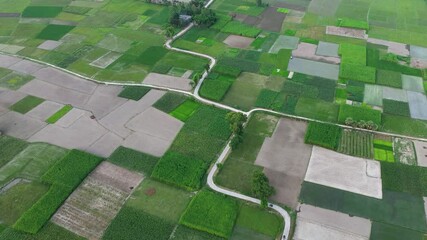 Aerial view of lush green and brown agricultural fields intersected by winding roads creating a patchwork of textures and tones, Bogura, Rajshahi Division, Bangladesh.