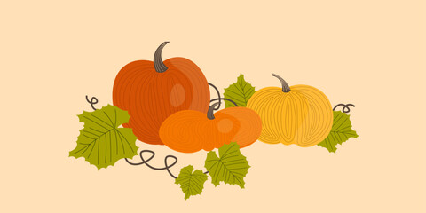 Autumn pumpkins background, banner
