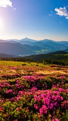 Obraz premium A breathtaking vista of a mountain meadow filled with vibrant pink rhododendrons, showcasing a sprawling landscape of rolling hills and a clear blue sky.