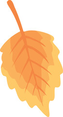 Autumn falling leave. Flying orange foliage from tree on white background isolated vector illustration authors work for your design style