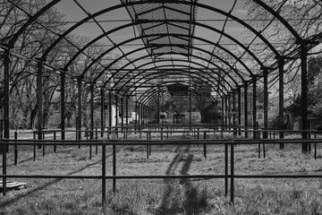 Abandoned slaughterhouse complex in Monza captured in black and white