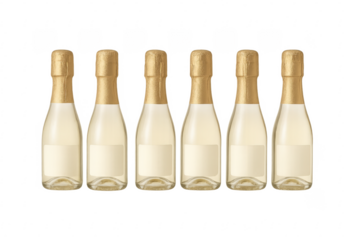 Seven mini champagne bottles standing on transparent background