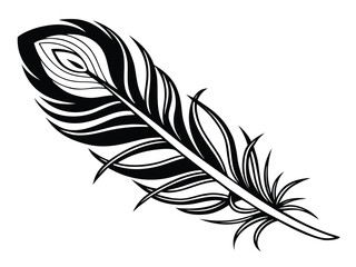 Obraz premium feather isolated on white