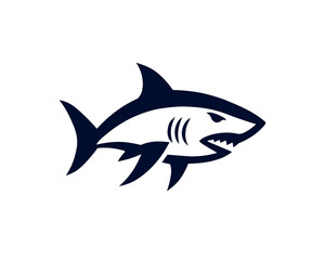 Obraz premium shark vector illustration