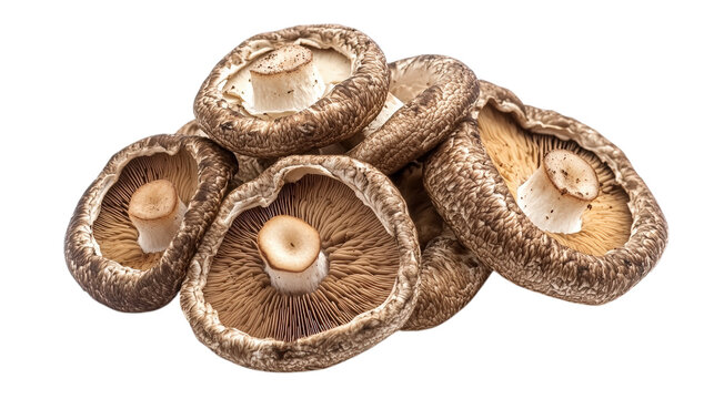 Shiitake Mushrooms Grouped isolated on a Transparent Background