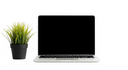 Modern laptop and green plant for a clean workspace aesthetic transparent background