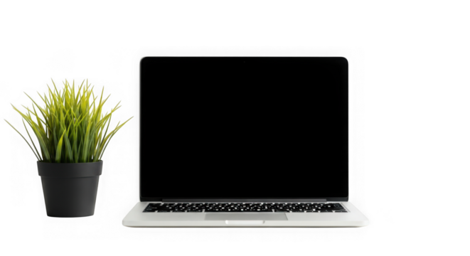 Modern laptop and green plant for a clean workspace aesthetic transparent background
