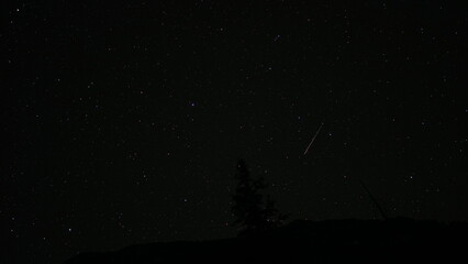 Meteor creating bright trail through starry night sky above silhouetted pine tree. Natural astronomical phenomenon captured during dark hours showing celestial beauty of falling star