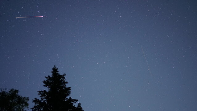 Satellite leaves a bright trail across a dark, starry night sky, with the silhouettes of pine trees in the foreground, creating a serene and awe inspiring scene