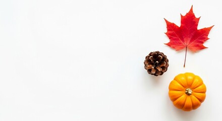A red maple leaf, a pine cone, and a small orange pumpkin are arranged on a clean white surface.