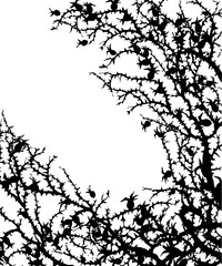 Branches of Blackthorn. Vector drawing