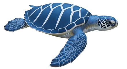 Isolated Sea Turtle