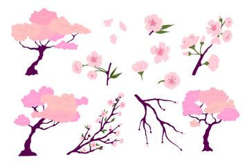 Cartoon Color Different Pink Japanese Sakura Set Concept Flat Design Style. Vector illustration of Flowers, Petals, Buds, Branches and Trees