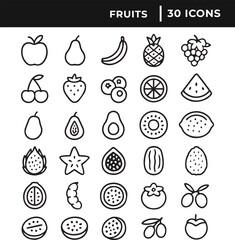 Set of fruits icon collection line art vector illustration