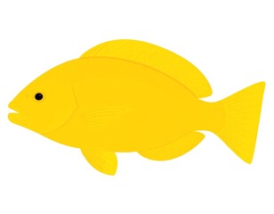 Side view of a bright yellow fish