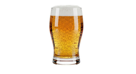 Isolated Glass of Golden Lager Beer with Foam