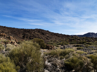 valley of Mount Teide in sunny day, Tenerife, Canary, Spain