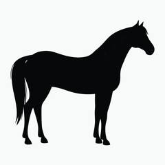 Horse Silhouette Vector Black Minimalist Horse Outline Design for Logos & Artwork