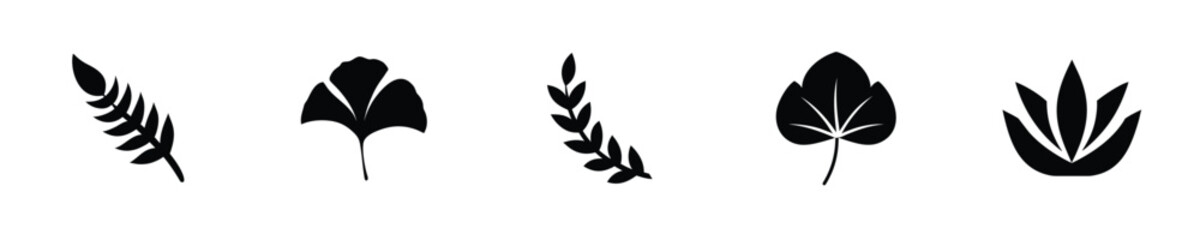 Botanical leaf silhouettes plant nature