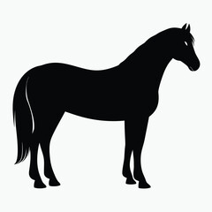 Horse Silhouette Vector Black Minimalist Horse Outline Design for Logos & Artwork