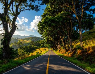 Naklejka premium A scenic country road winds through a lush green landscape, shaded by towering trees, towards a distant mountain range under a bright blue sky.