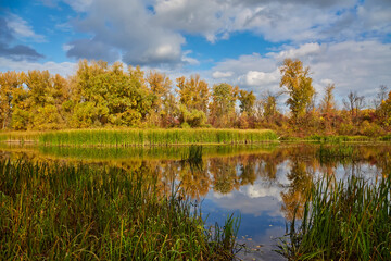 Autumn River Landscape with Colorful Reflections