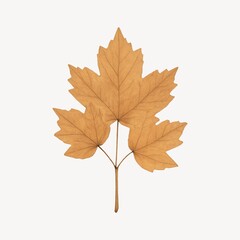 Fototapeta premium Golden maple leaf illustration.