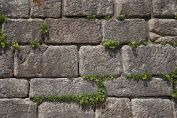 Close-up of an old fortress wall for background or texture