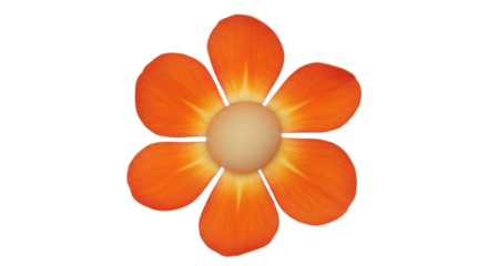 Isolated Orange Flower with Six Petals