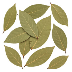 Photo of dried bay leaves, a fragrant herb and spice used in cooking for flavor and aroma, isolated on transparent background