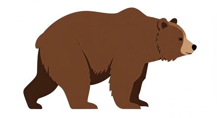 Fototapeta premium brown bear vector