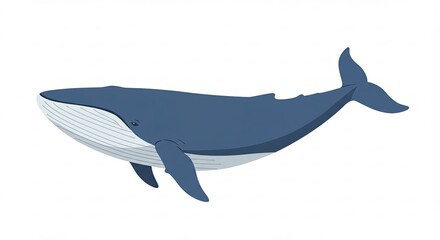 Obraz premium vector illustration of cartoon shark