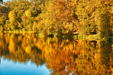 Fototapeta premium Autumn Forest Reflected in Lake