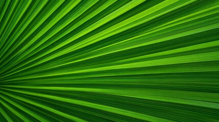 Obraz premium Radiant green palm leaf with vivid veins. Artificial intelligence image