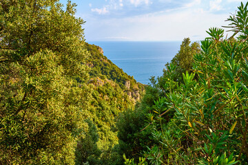 Coastal Cliffside, Trees, Sea, Sky, Sunny Day