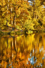 Fototapeta premium Autumn Forest Reflected in Lake