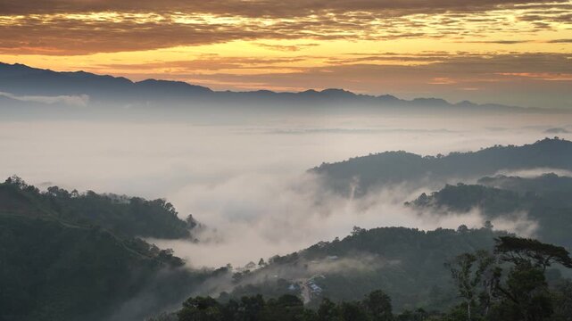 Aerial view of the majestic Sajek valley, a sea of clouds embracing the undulating hills, creating a stunning contrast with the golden sunrise, Sajek, Chittagong Division, Bangladesh.