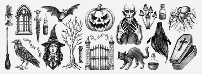 Fototapeta na wymiar Halloween vector hand-drawn illustrations set. Witch, vampire, monsters, pumpkin head sketches. Gothic design elements. NOT AI generated