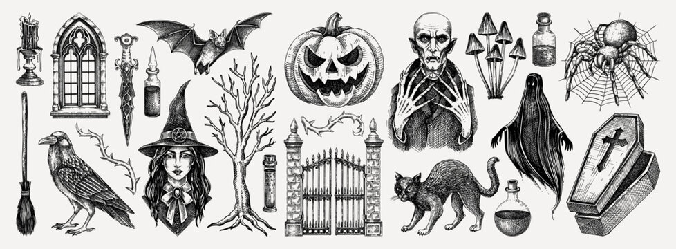 Halloween vector hand-drawn illustrations set. Witch, vampire, monsters, pumpkin head sketches. Gothic design elements. NOT AI generated