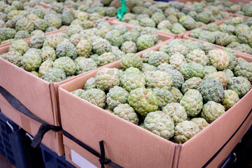 Many fresh sugar apples on sell at Asian local market. Tropical ripe sweet delicious sugar apple fruit at market.