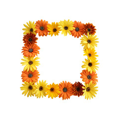 Obraz premium Square frame made of vibrant yellow and orange gerbera flowers