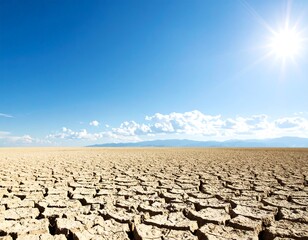 Arid desert landscape with cracked, parched earth under a bright sun, illustrating the stark consequences of extreme dry weather and environmental degradation