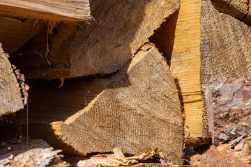 Textura o fondo de leña apilada.