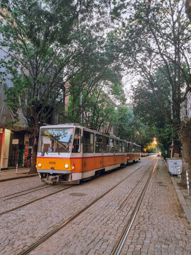 Yellow tramway - Pirotska Street in Sofia - cobblestone street with high trees on all sides and a tramway at sunset