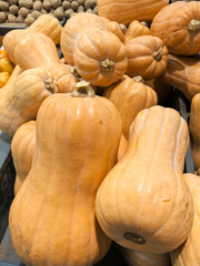 Pear shaped pumpkins, guitars lay on the counter in a pile. Orange pumpkins at the harvest festival. Pumpkin for Thanksgiving and Halloween. Ripe fresh vegetables, healthy food