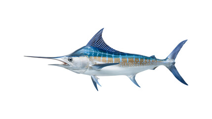 Fototapeta premium A detailed image of a swordfish showcasing its distinct features 