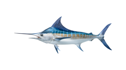 A detailed image of a swordfish showcasing its distinct features
