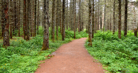 Fototapeta premium A path in the park, Bonaventure, Percé, Québec, Canada