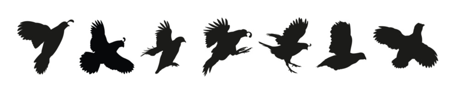 Quail flying silhouette vector illustration set